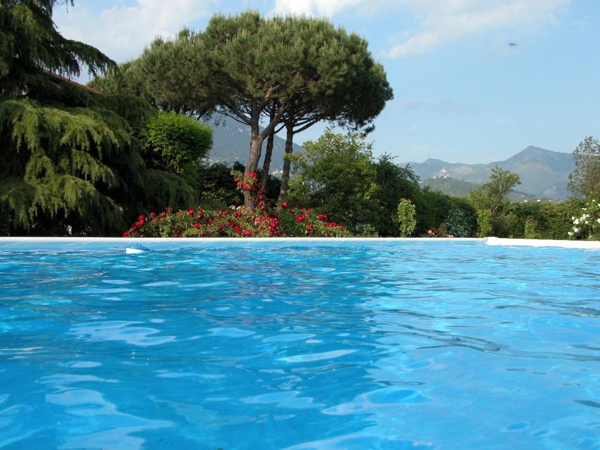 Pietrasanta - Versilia - Villa Arzilla Garden Con Piscina Tonfano Exterior photo